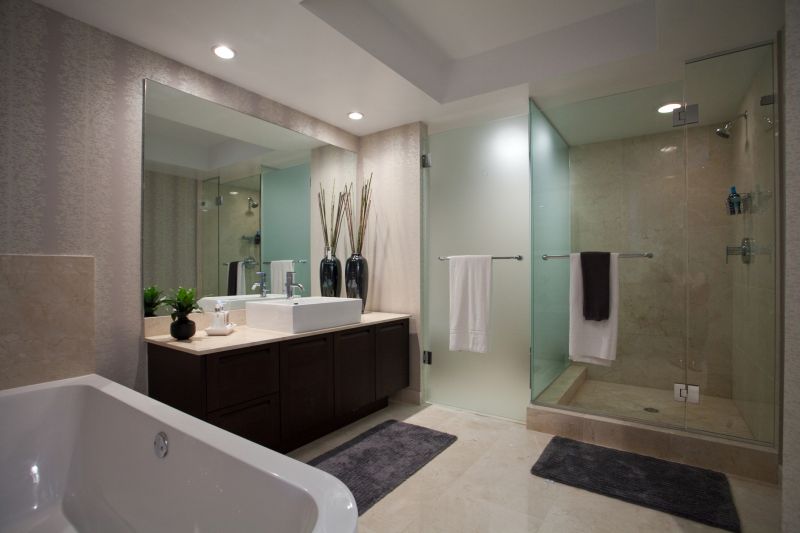 Contemporary Shower Designs